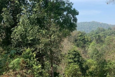 Land in Mae Rim, Thailand 19200 sq.m. № 167745 - photo 3