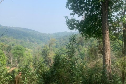 Land in Mae Rim, Thailand 19200 sq.m. № 167745 - photo 4
