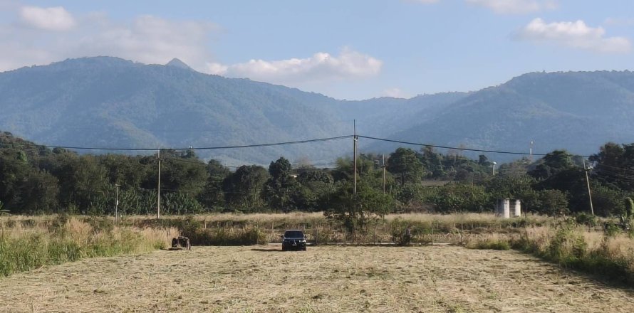 Terrain à Pak Chong, Thaïlande 2.5 m2 № 161779