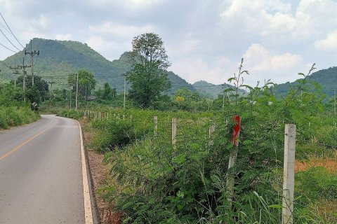 Terrain à Pak Chong, Thaïlande 2.5 m2 № 161779 - photo 6