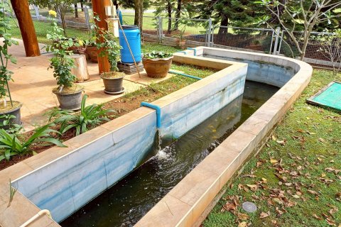 House in Pak Chong, Thailand 3 bedrooms № 161774 - photo 13