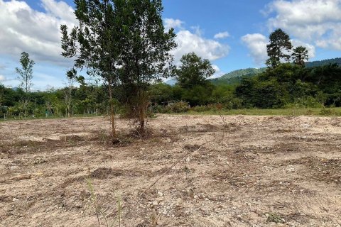 Land in Nakhon Nayok, Thailand 8000 sq.m. № 156935 - photo 3