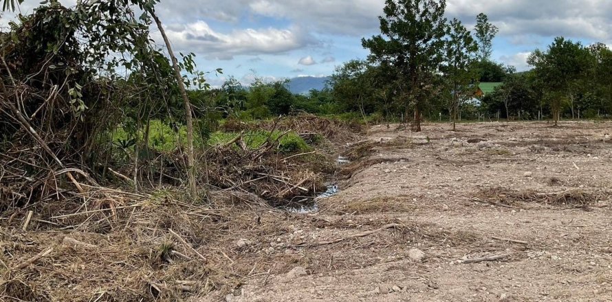 Land in Nakhon Nayok, Thailand 8000 sq.m. № 156935