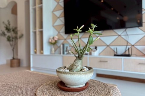 Villa à Pa Klok, Thaïlande 5 chambres № 137418 - photo 14