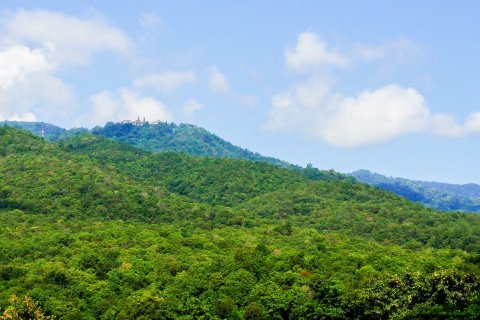 Condo in Chiang Mai, Thailand, 2 bedrooms № 167615 - photo 12