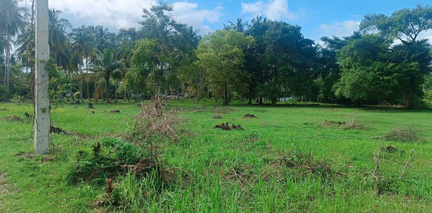 Земельный участок в Самуи, Таиланд 1600м2  № 151642