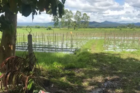 Земельный участок в Чиангмае, Таиланд  № 162832 - фото 7