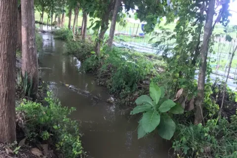 Land in Chiang Mai, Thailand № 162832 - photo 5