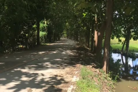 Land in Chiang Mai, Thailand № 162832 - photo 6