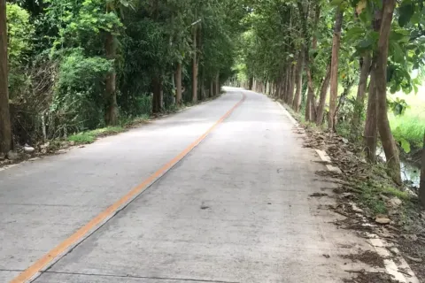 Land in Chiang Mai, Thailand № 162832