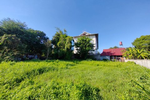 Land in Chiang Mai, Thailand № 162830