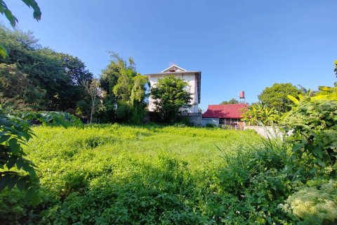 Земельный участок в Чиангмае, Таиланд  № 162830 - фото 3