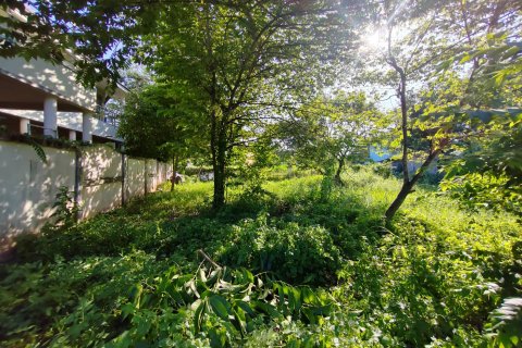 Земельный участок в Чиангмае, Таиланд  № 162830 - фото 8