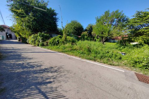 Земельный участок в Чиангмае, Таиланд  № 162830 - фото 4