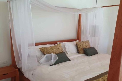 Commercial property in Chiang Mai, Thailand 800 sq.m. № 162829 - photo 10