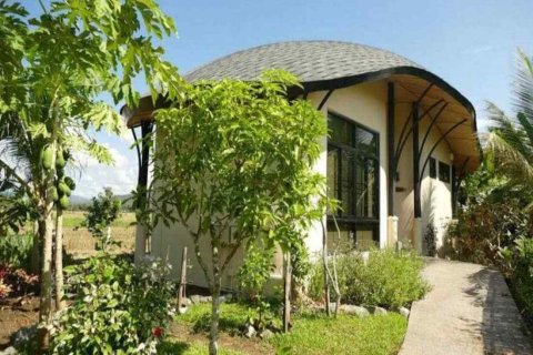 Коммерческая недвижимость в Чиангмае, Таиланд 800м2  № 162829 - фото 12