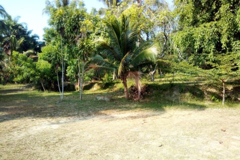 Land in Chumphon, Thailand 7500 sq.m. № 173601 - photo 11