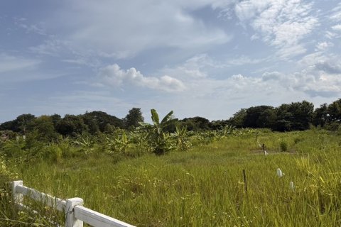 Земельный участок в Ханг Донге, Таиланд 3200м2  № 140572 - фото 4