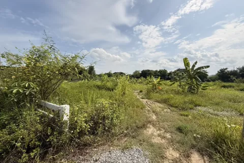 Земельный участок в Ханг Донге, Таиланд 3200м2  № 140572 - фото 2