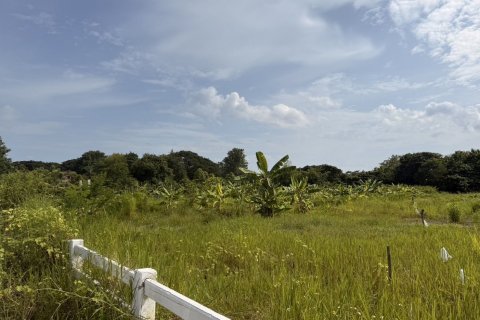 Земельный участок в Ханг Донге, Таиланд 3200м2  № 140572 - фото 5