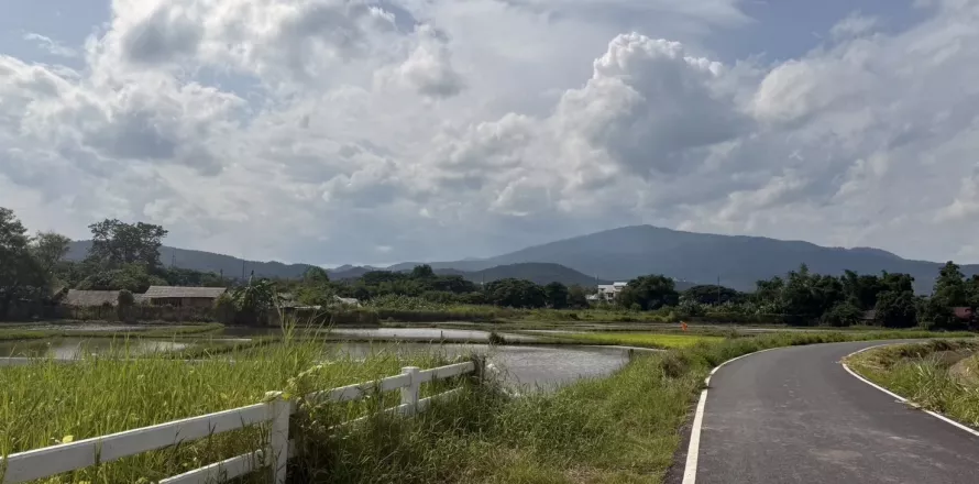 Земельный участок в Ханг Донге, Таиланд 3200м2  № 140572