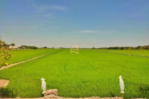 Land in Nonthaburi, Thailand 36000 sq.m. № 158104 - photo 4