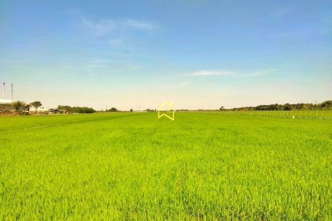 Land in Nonthaburi, Thailand 36000 sq.m. № 158104