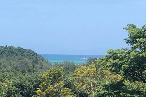Land on Layan Beach, Thailand № 223547