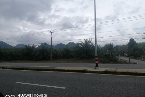 Terrain à Don Sak, Thaïlande 12800 m2 № 150362 - photo 2