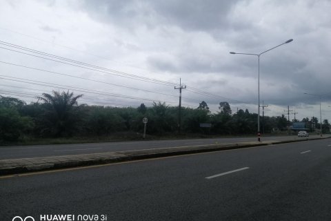 Terrain à Don Sak, Thaïlande 12800 m2 № 150362