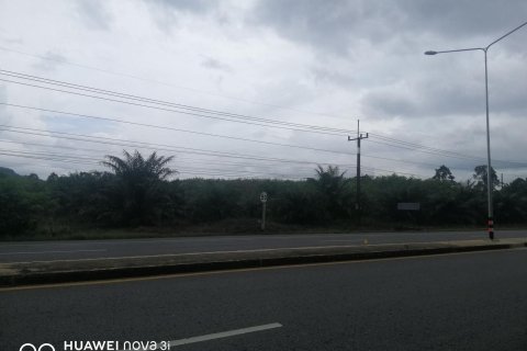 Terrain à Don Sak, Thaïlande 12800 m2 № 150362 - photo 4