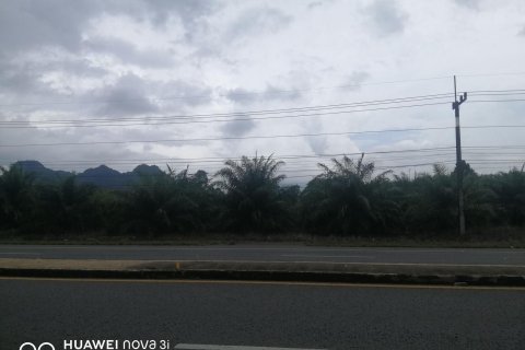 Terrain à Don Sak, Thaïlande 12800 m2 № 150362 - photo 3