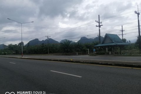 Terrain à Don Sak, Thaïlande 12800 m2 № 150362 - photo 5