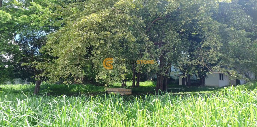 Land on Jomtien Beach, Pattaya, Thailand № 26390