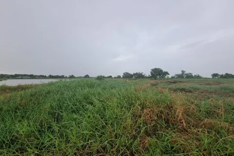 Земельный участок в Банг Бо, Таиланд 1007м2  № 172059 - фото 7