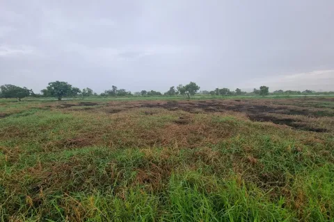 Земельный участок в Банг Бо, Таиланд 1007м2  № 172059 - фото 5