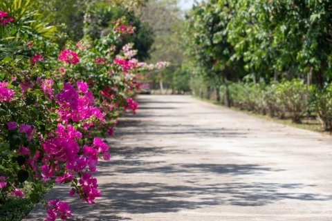 Дом в Ханг Донге, Таиланд с 3 спальнями  № 145023 - фото 13