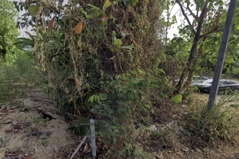 Земельный участок в Пхукете, Таиланд 200м2  № 145930 - фото 6