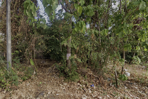 Земельный участок в Пхукете, Таиланд 200м2  № 145930 - фото 4