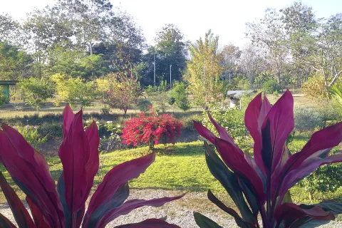 Terrain à Kanchanaburi, Thaïlande 7828 m2 № 141620 - photo 22