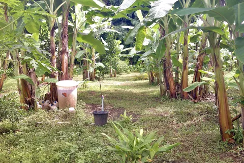 Terrain à Kanchanaburi, Thaïlande 7828 m2 № 141620 - photo 24