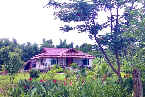 Terrain à Kanchanaburi, Thaïlande 7828 m2 № 141620 - photo 25