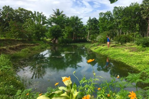Земельный участок в Канчанабури, Таиланд 7828м2  № 141620 - фото 8
