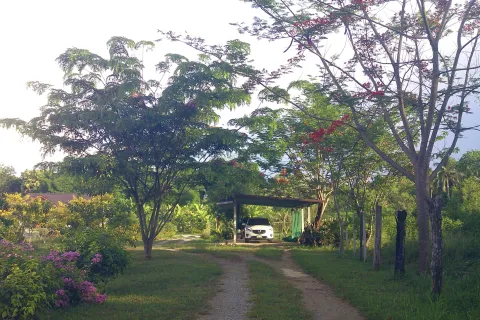 Terrain à Kanchanaburi, Thaïlande 7828 m2 № 141620 - photo 26