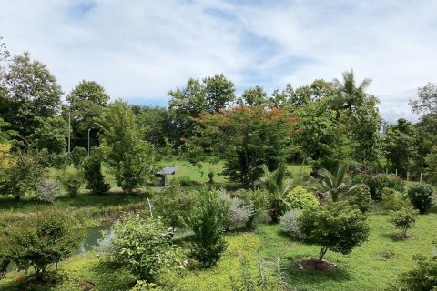 Земельный участок в Канчанабури, Таиланд 7828м2  № 141620 - фото 13