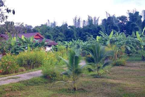 Terrain à Kanchanaburi, Thaïlande 7828 m2 № 141620 - photo 20