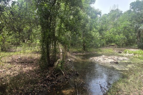 Land in Mai Khao, Thailand 8164 sq.m. № 141622 - photo 3