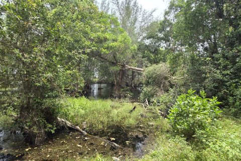 Land in Mai Khao, Thailand 8164 sq.m. № 141622 - photo 14