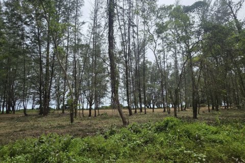 Land in Mai Khao, Thailand 8164 sq.m. № 141622 - photo 1