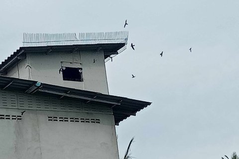 Centre commercial à Chumphon, Thaïlande № 148834 - photo 1